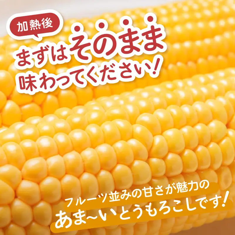【先行予約】秋とうもろこし 黄色 白色 計8本 おおもの 朝採り ／ 期間限定 数量限定 ハウス栽培 産地直送 甘い ミックス スイートコーン 白い とうもろこし ホワイトコーン 野菜 あわら ※2026年10月10日より順次発送 [aw039-a012]