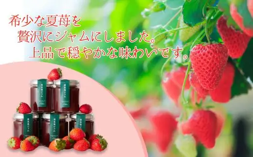 ジャム【香美苺ジャム 120g×4個】夏イチゴ ペチカほのか トッピング ソース 18-05
