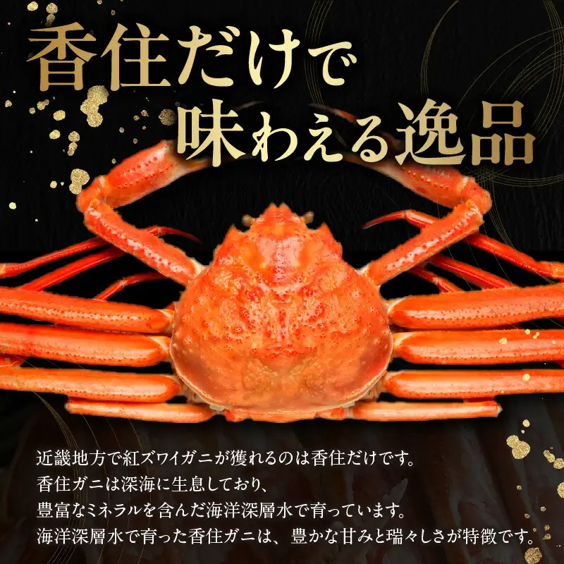 高評価☆4.7 香住ガニ タグ付き 1.4kg 【令和8年5月以降発送予定】カニ かに 19-13
