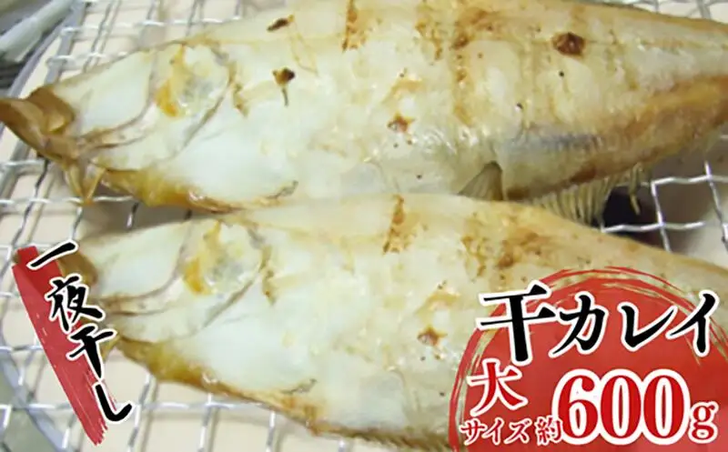 一夜干し 干カレイと干キスセット 山陰沖で水揚げ 海鮮 33-12
