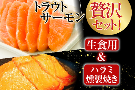 お刺身トラウトサーモン1kg＆とろサーモンハラミ燻製焼き1.5kg B-09071