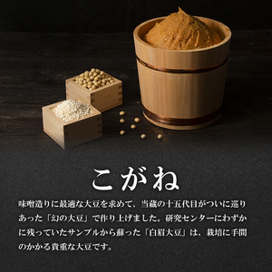 味噌 定期便 固定月 4ヶ月 山吹味噌 こがね 4kg （ 1kg ×年4回分） 信州味噌 みそ ミソ 熟成 信州 信州みそ 調味料 長野県 長野 定期 お楽しみ 4回 