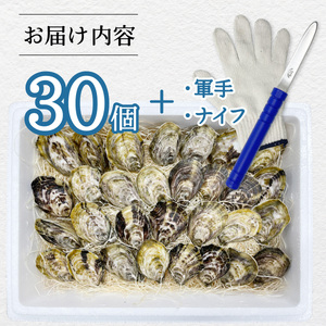 あまべ牡蠣 30個 牡蠣 シングルシード 生食用 殻付き かき カキ オイスター 生ガキ 生牡蠣 生がき 生かき ギフト 貝 旨味 
