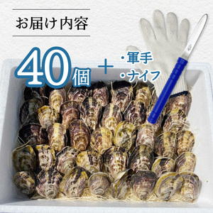 あまべ牡蠣 40個 牡蠣 シングルシード 生食用 殻付き かき カキ オイスター 生ガキ 生牡蠣 生がき 生かき ギフト 貝 旨味 