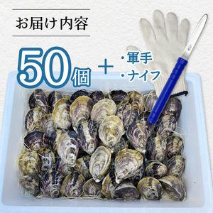 あまべ牡蠣 50個 牡蠣 シングルシード 生食用 殻付き かき カキ オイスター 生ガキ 生牡蠣 生がき 生かき ギフト 貝 旨味 