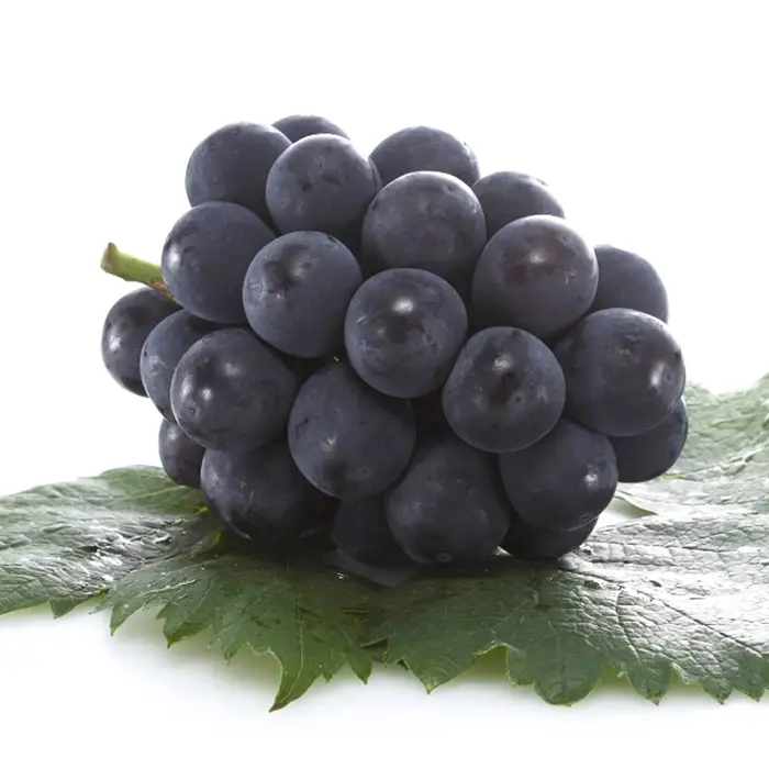 岡山県産 種無し ピオーネ2房（約1.2kg）【2026年8月下旬～9月中旬発送予定】（いばら愛菜館）