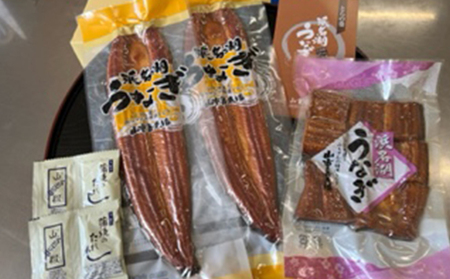 【2025年8月15日頃～順次発送予定】浜名湖産鰻　蒲焼 約140g×2本・鰻佃煮120g セット 土用の丑の日 丑の日 うなぎ 浜松 静岡県産 