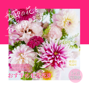 《6ヶ月定期便 》芸西村産季節の花束・フラワーアレンジメント（ブルースター・トルコキキョウ・ダリヤ）【生産者直送】