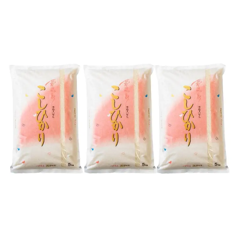 No.1501【令和7年産】大文字屋米穀店【定期便3回】コシヒカリ 5kg 精米（3か月連続お届け）