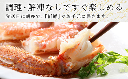 北海道産【朝ゆで】毛ガニ（330g前後）1尾 期間限定！≪かにのマルマサ≫