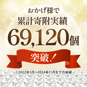 99.9％ 除菌 ウエットティッシュ （ノンアルコール） 80枚入×36個セット（2880枚）