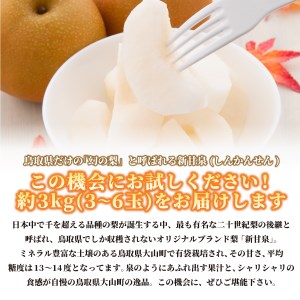 【先行予約】DS-15　新甘泉梨（しんかんせんなし）（３ｋｇ）