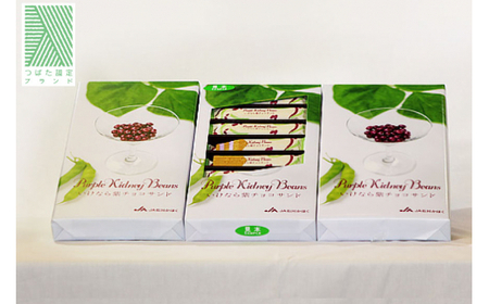 お菓子 個包装 いけなら紫 チョコサンド 16本入り× 3箱 [JA石川かほく 石川県 津幡町 28ab0016]