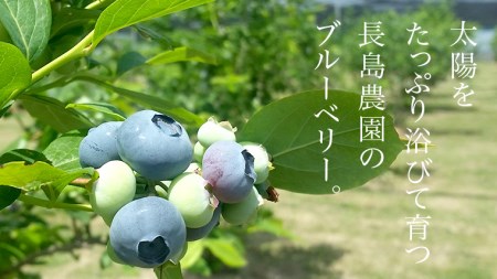 ブルーベリー1.2kg ( 400g × 3パック ) 【2026年6月から発送開始】[AK002sa]