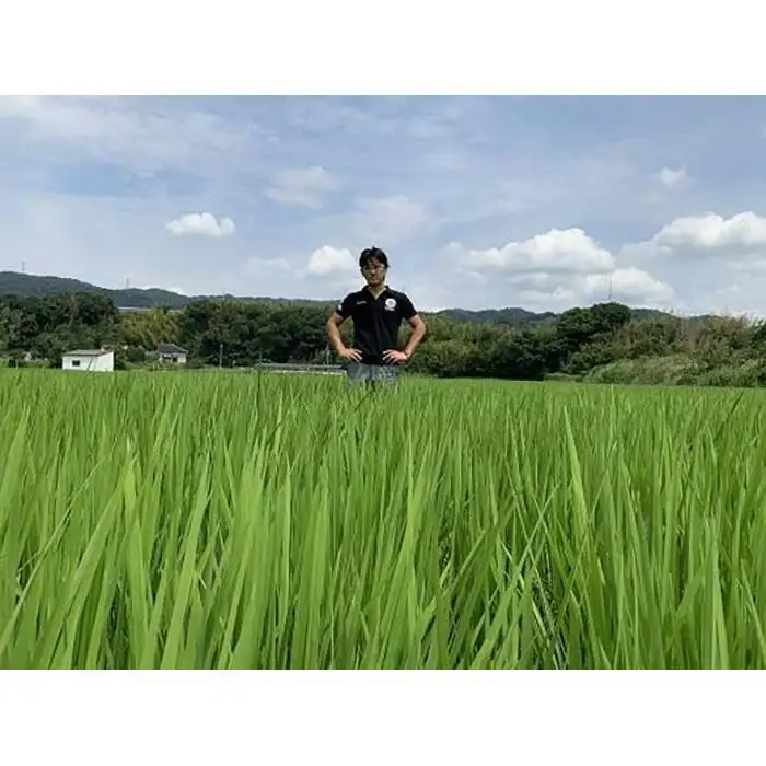 和歌山県のお米食べ比べセット合計１５キロ