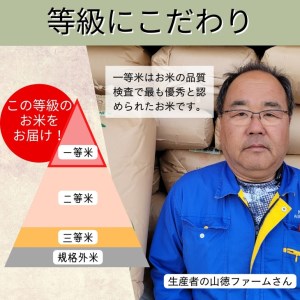 【寄附額改定】【令和7年産】玄米 きぬひかり 玄米 30kg