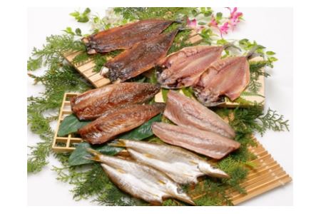  (定期便) （1便）海の幸「九鬼のひもの詰合せ」４品　（2便）海の幸「九鬼のひもの詰合せ」５品　HS-14