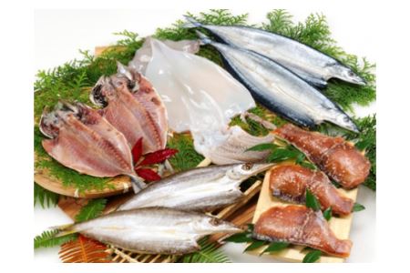 (定期便)（１便）海の幸「九鬼ひものセット」５品（２便）海の幸「九鬼ひものセット」５品　HS-18
