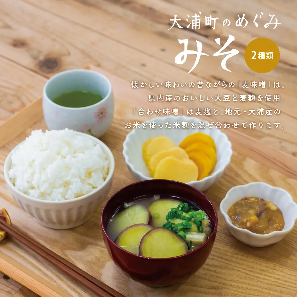 【鹿児島県産大豆使用】麦味噌・合わせ味噌詰合せ 計4.8kg (800g×6袋) 熟成発酵 麦みそ 合わせ みそ 調味料 みそ汁 豚汁 酢味噌 田舎の味 大浦町 南さつま市