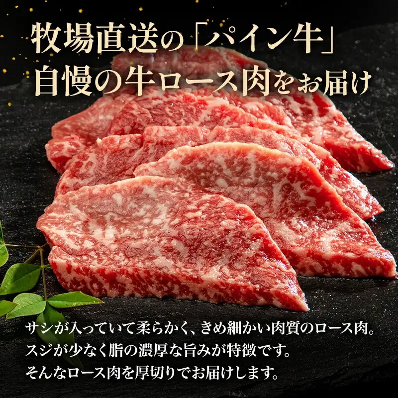 牛肉 焼肉 牛肉[黒毛和牛 パイン牛 ロース 500g 宮崎県産]