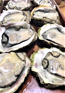 ★期間限定★手のひらサイズで開けやすい！天然！殻付き岩牡蠣　10個【先行受付開始！2026年5月15日以降のお届け】
