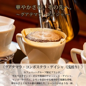 0025-59-02 【カフェバッハグループ限定】粉・グアテマラ・ゲイシャ（浅煎り）｜赤富士珈琲｜利き珈琲チャンピオン厳選