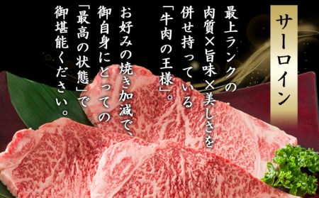 【A5】宮崎牛サーロインステーキ4枚_MB-0135_(都城市) 最高級A5ランクの牛肉 宮崎牛サーロインステーキ 200g×2枚×2P  塩コショウ ステーキソース付 都城産宮崎牛 真空パック ギフト 贈答用