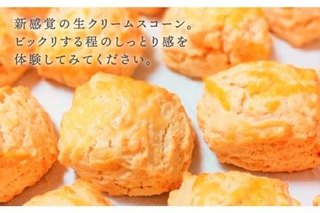 【お中元対象】【 贈答用 】明太 チーズ スコーン 12個セット 『 ふくのや 』の 明太子 使用《糸島》【キナフク】焼き菓子 焼菓子 洋菓子 スイーツ パン [AFA010]