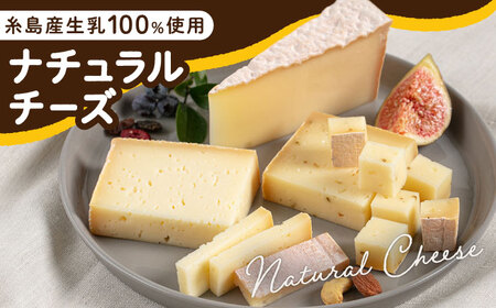 【お中元対象】糸島産 生乳 100％ 使用 手作り 熟成 チーズ 食べ比べ 5種 セット 糸島市 / 糸島ナチュラルチーズ製造所TAK-タック- チーズ詰め合わせ [AYC003]