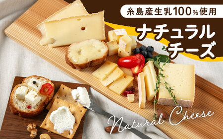 糸島産 生乳 100％ 使用 手作り チーズ 充実 7種 セット 糸島市 / 糸島ナチュラルチーズ製造所TAK-タック- [AYC004]