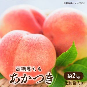 高糖度もも 「あかつき」 約2kg化粧箱入り