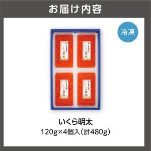 佐藤水産 いくら明太 480g 北海道石狩市 海鮮 魚卵