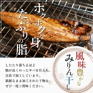 とろサバ 干物 6枚 お試し ハーフサイズ おひとり様 簡単調理 冷凍保存　1枚約200g前後×6枚　合計約1.2kg前後