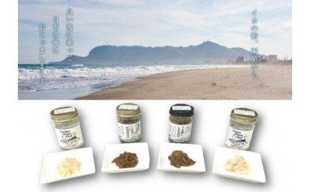 函館 波乗りイカさん4本＆波座塩辛3個セット 波座塩辛 いか塩辛 塩辛 生造り塩辛 粒うに入り塩辛 明太子入り クリームチーズ 肝醤油 イカ刺ししょうが漬け スモークチーズいか 塩辛 珍味 海鮮 海の幸 おつまみ おかず 北海道 函館市 はこだて ふるさと納税 送料無料_HD084-005
