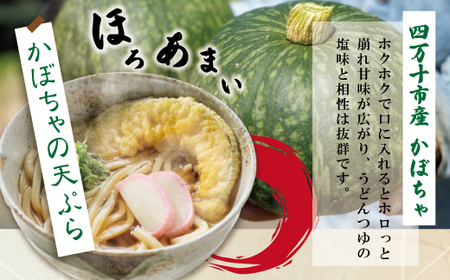 26-218．【6回定期便】麦屋のお店の天ぷらがご自宅で楽しめる♪麦屋の四万十うどんと天ぷらセット（合計48食）