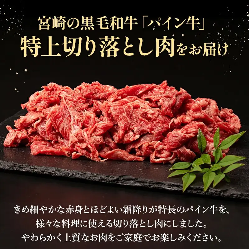 牛肉 切り落とし 牛肉[黒毛和牛 パイン牛 肩・肩ロース 1kg 宮崎県産]