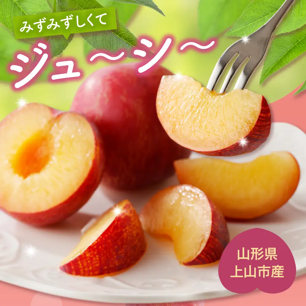 すもも（貴陽）１.５ｋｇ　0055-2607