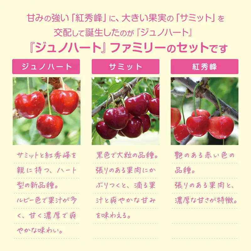 【食べ比べ3種】 さくらんぼ＜ジュノハート/サミット/紅秀峰＞ 各5粒・全15粒