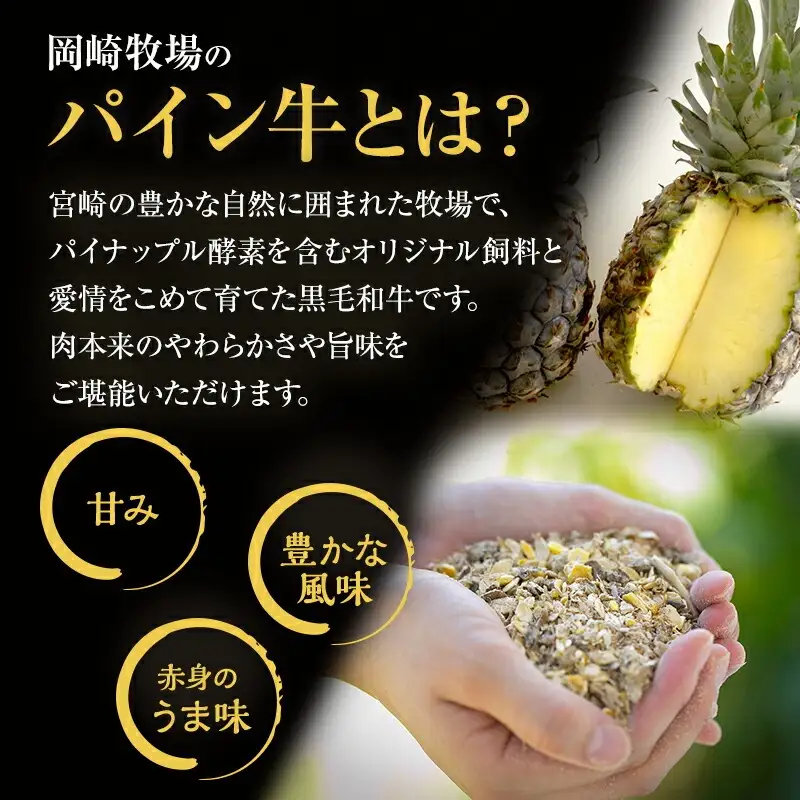 牛肉 こま切れ 牛肉[黒毛和牛 パイン牛 1.5kg 宮崎県産]
