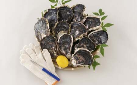 九十九島かき本舗岩がきC 夏牡蠣 生牡蠣 殻付き牡蠣 ブランド牡蠣 牡蠣 