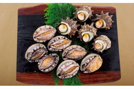 産地直送【 あわび・さざえセット】生食可 1.2kg あわび A176