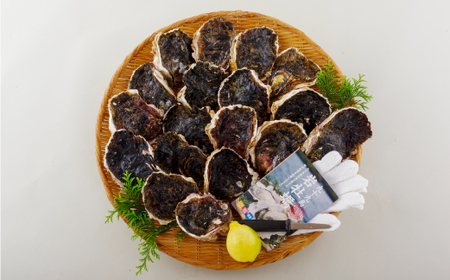 かき【 岩牡蠣 】九十九島岩かき 産地直送 生食可 A162 