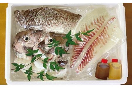 真鯛セット(大)