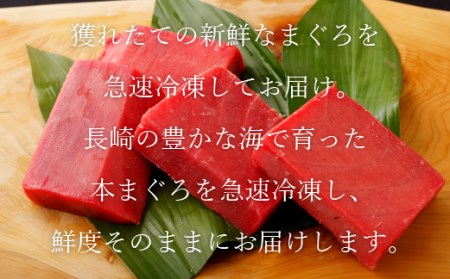 長崎県産本まぐろ赤身(養殖)R877 本まぐろ