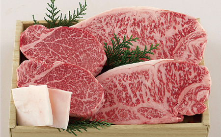 長崎和牛サーロイン･ヒレ肉ステーキ食べ比べセット