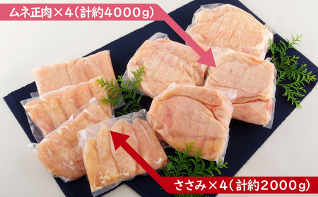 【 ながさき福とり 】 鶏肉 もも ・ むねセット 6kg 鶏肉 B304b