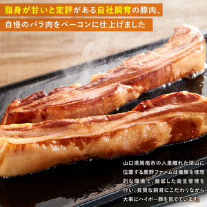 【鹿野ファーム】芳醇な味と香りのロングベーコンセット