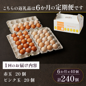 【6ヶ月定期便】 ミシュラン たまご 40個×6ヶ月 計240個 卵 2種類 詰め合わせ 高級卵 濃厚鶏卵 新鮮 卵かけご飯 人気 美味しい