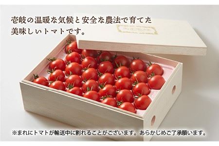 高級贈答用「あま壱岐」（桐箱大）ミディトマト 約2kg  60粒 《壱岐市》【壱岐の潮風】[JAE002]