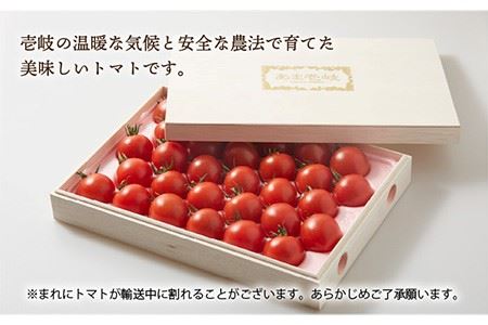 ミディトマト 約1kg 30粒 高級贈答用「あま壱岐」（桐箱小）  《壱岐市》【壱岐の潮風】[JAE003] 野菜 ギフト プレゼント 贈り物 化粧箱 18000 18000円